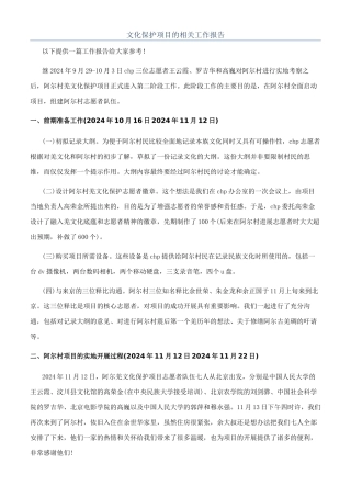 文化保护项目的相关工作报告