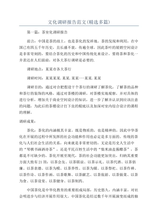 文化调研报告范文