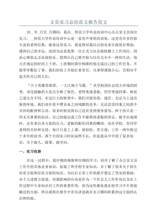 文员实习总结范文报告范文