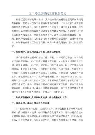 文广局挂点帮扶工作报告范文