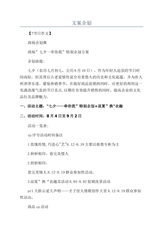 文案企划-精品文档