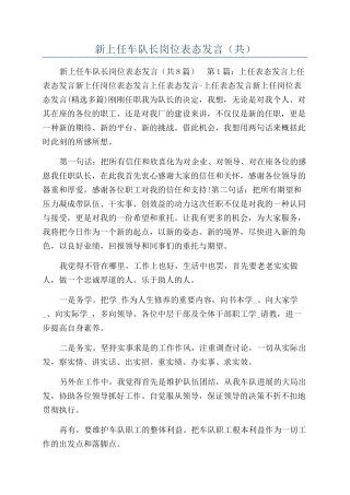 新上任车队长岗位表态发言（共）