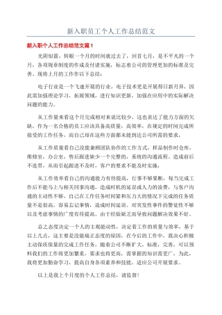 新入职员工个人工作总结范文