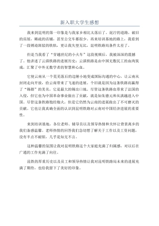 新入职大学生感想