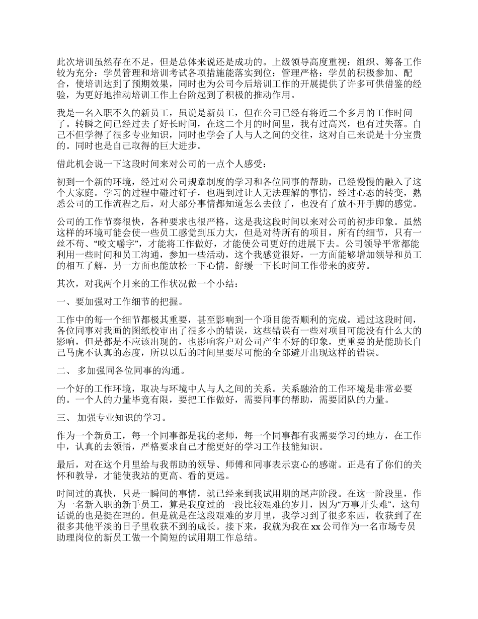 新入职工作总结_第3页