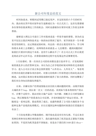 新公司年度总结范文