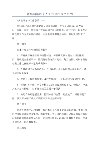 新出纳年终个人工作总结范文2024