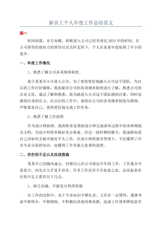 新员工个人年度工作总结范文