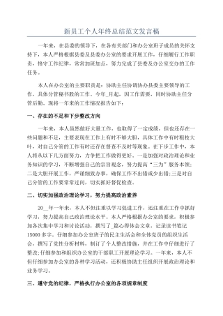 新员工个人年终总结范文发言稿