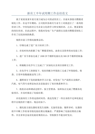 新员工半年试用期工作总结范文