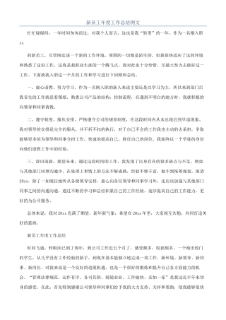 新员工年度工作总结例文