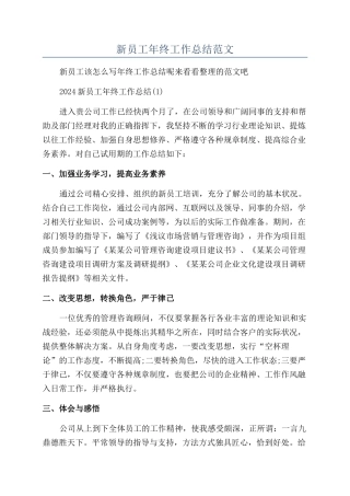 新员工年终工作总结范文