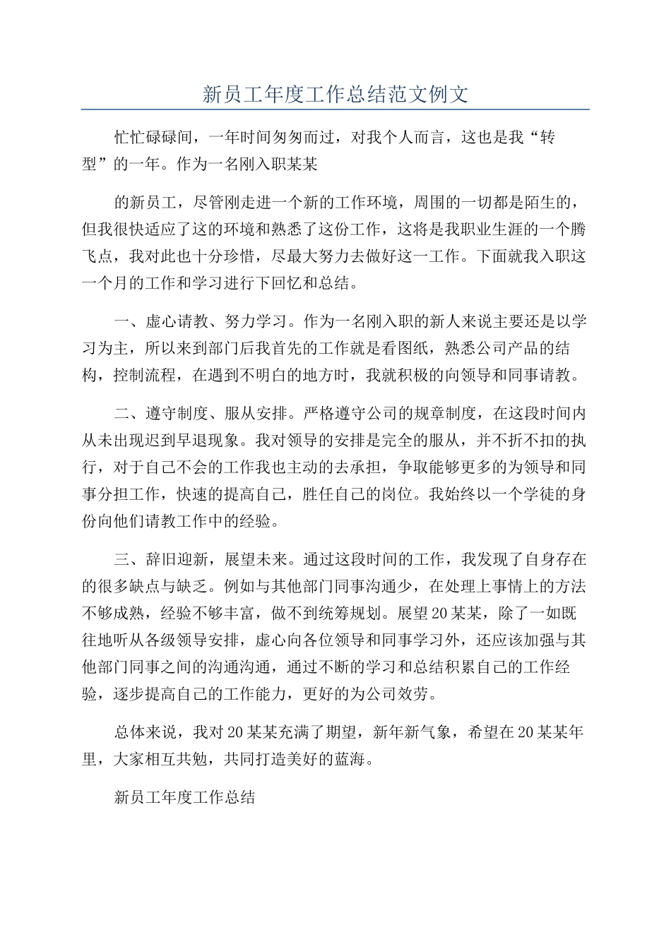 新员工年度工作总结范文例文_第1页