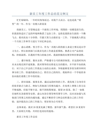 新员工年度工作总结范文例文