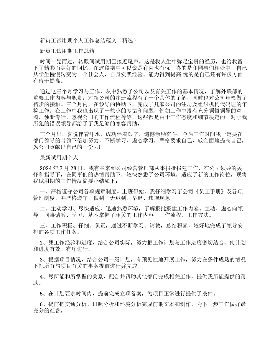 新员工试用期个人工作总结例文（）_第1页