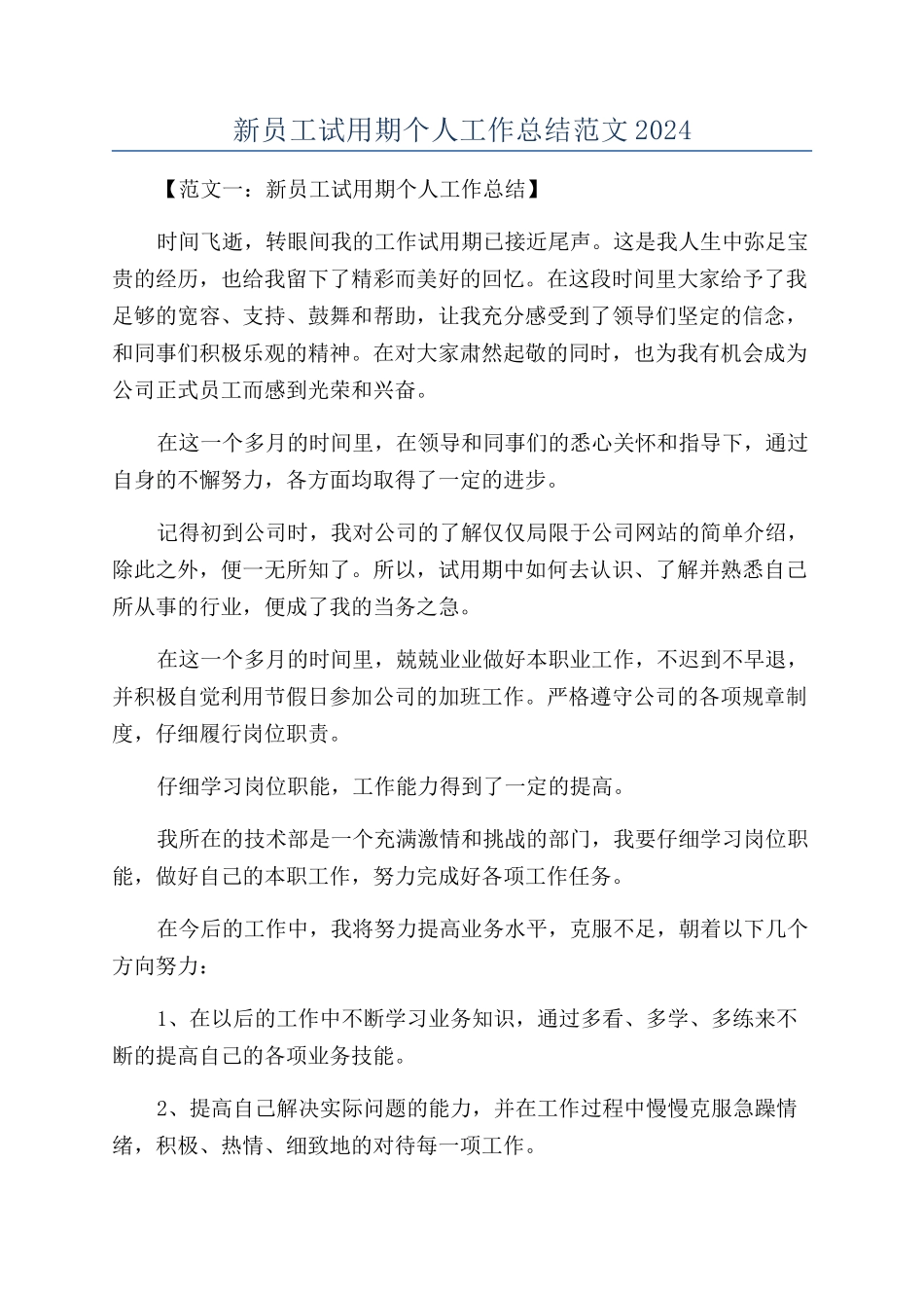 新员工试用期个人工作总结范文2024_第1页