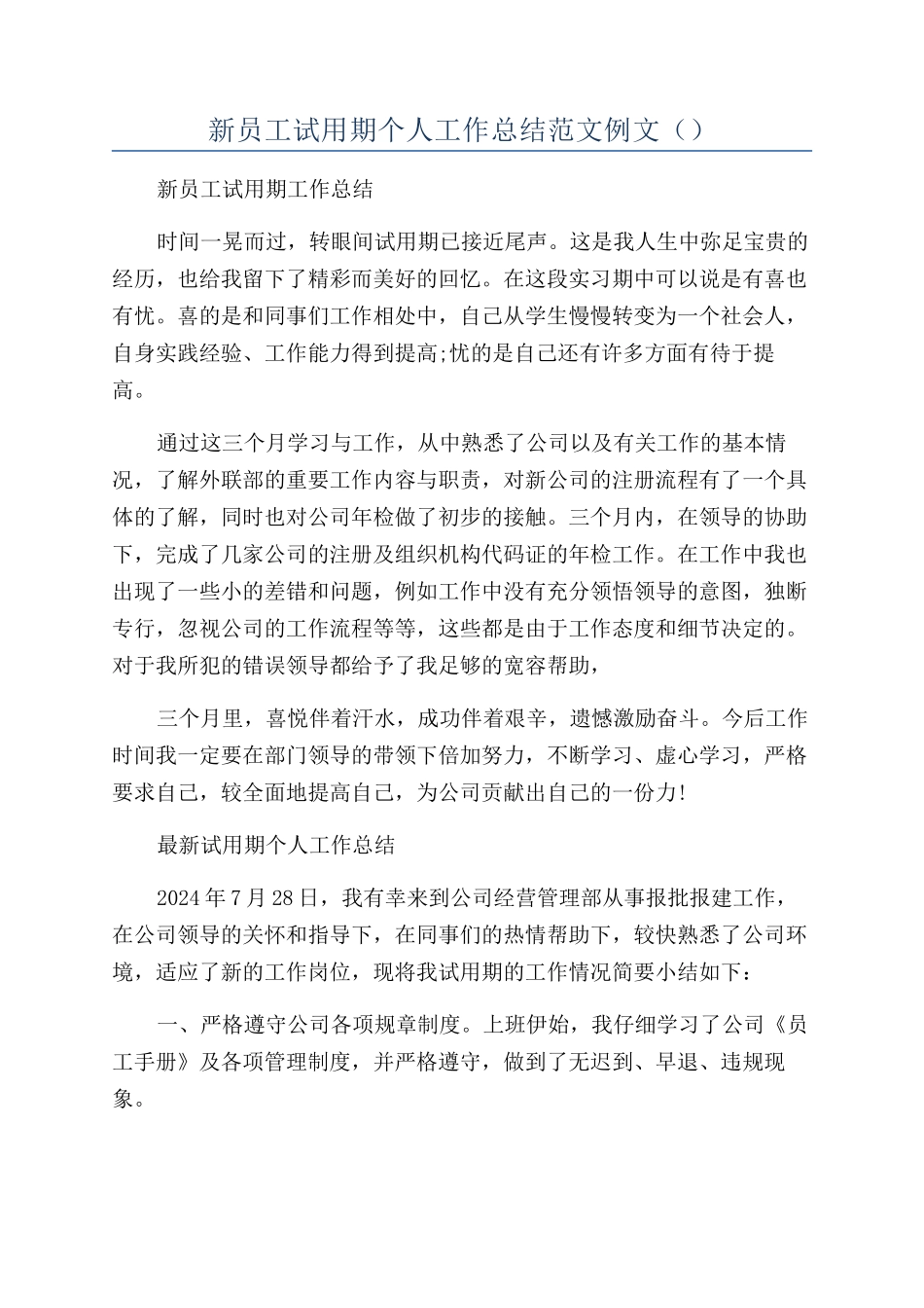 新员工试用期个人工作总结范文例文（）_第1页