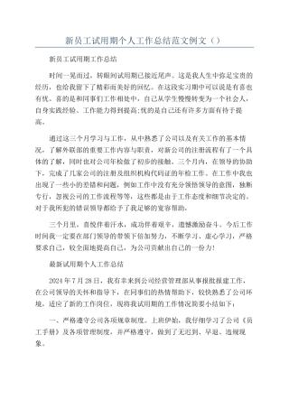 新员工试用期个人工作总结范文例文（）