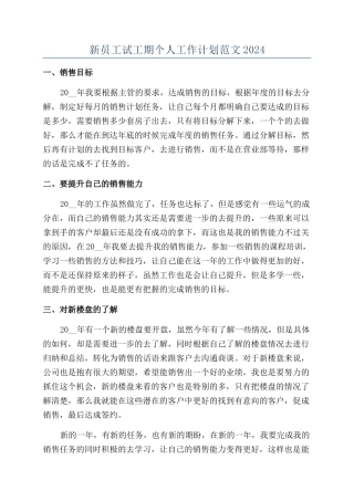 新员工试工期个人工作计划范文2024