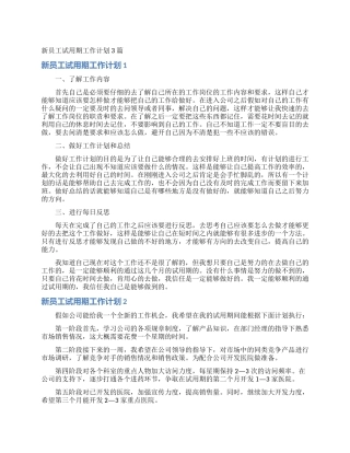 新员工试用期工作计划3篇