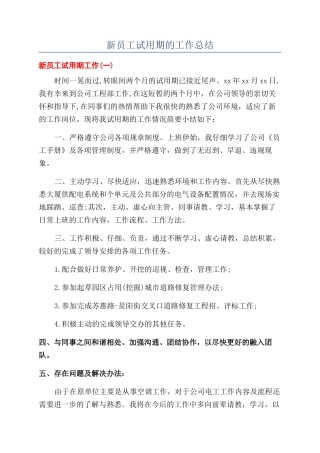 新员工试用期的工作总结