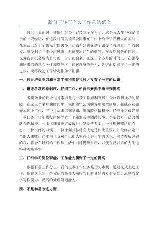 新员工转正个人工作总结范文