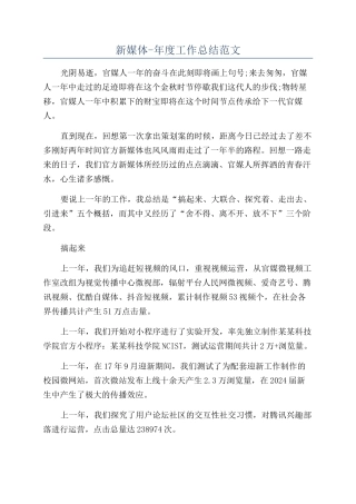 新媒体-年度工作总结范文