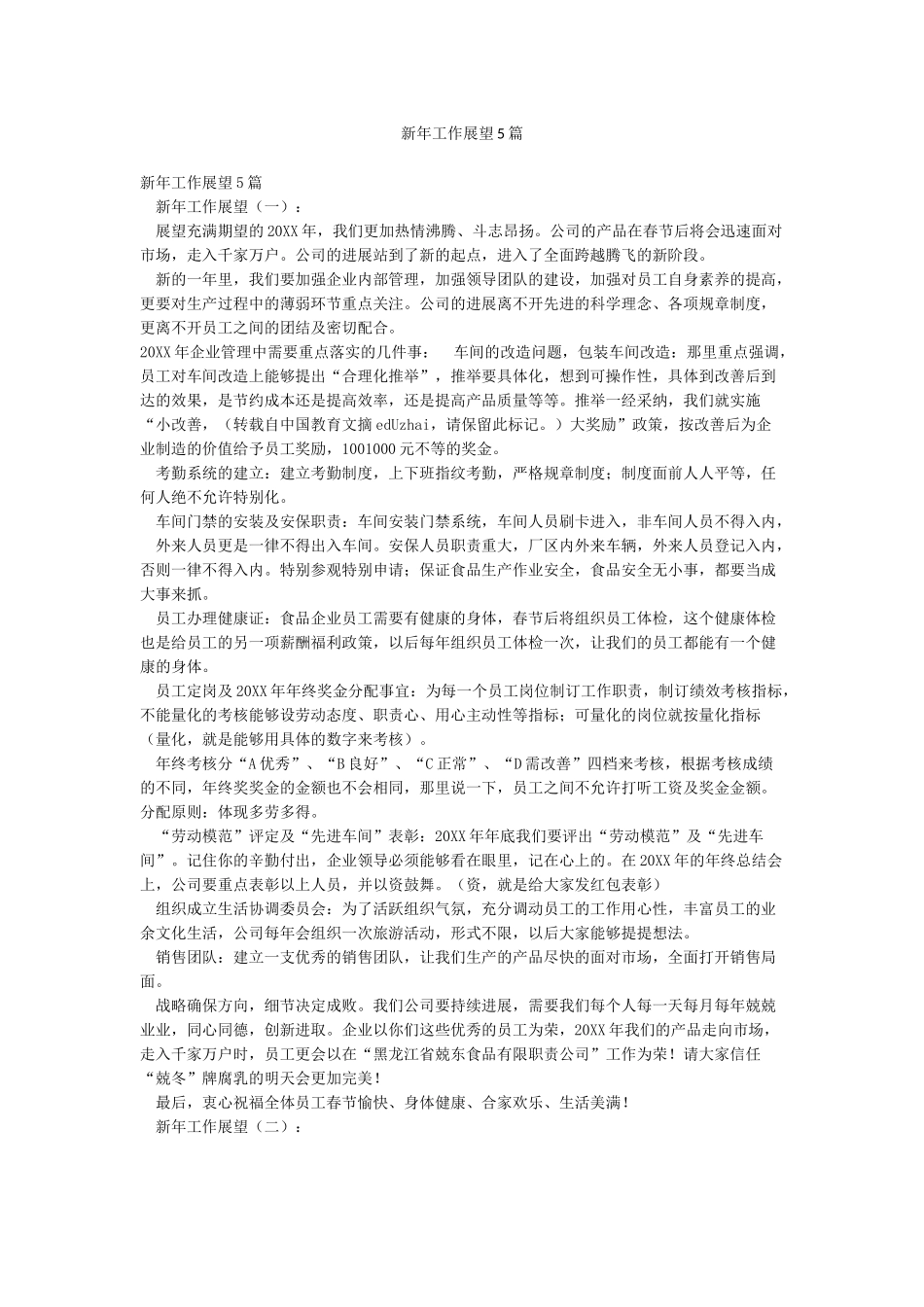 新年工作展望5篇_第1页