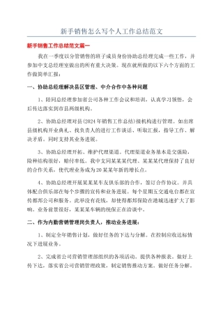 新手销售怎么写个人工作总结范文