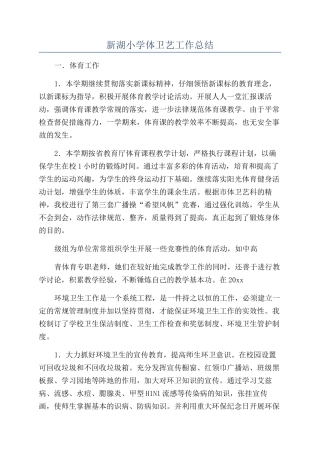 新湖小学体卫艺工作总结