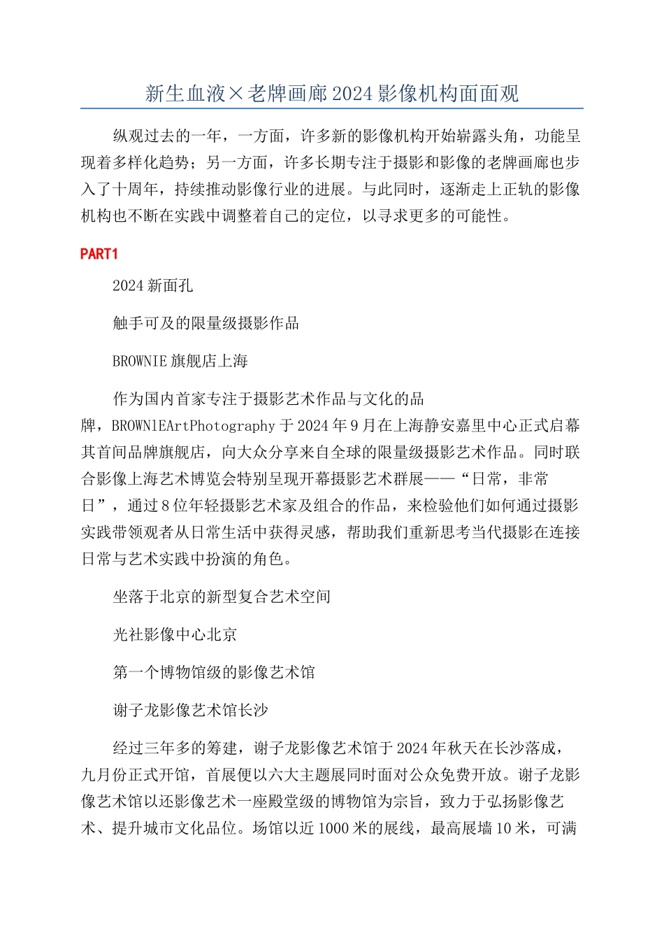 新生血液×老牌画廊2024影像机构面面观_第1页