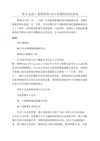 新生血液×老牌画廊2024影像机构面面观