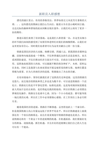 新职员入职感想