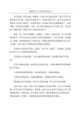 新职员工作总结范文
