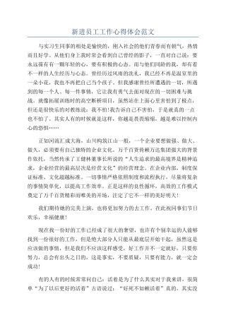 新进员工工作心得体会范文