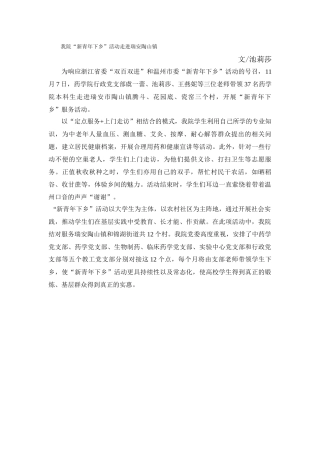 新青年下乡通讯稿