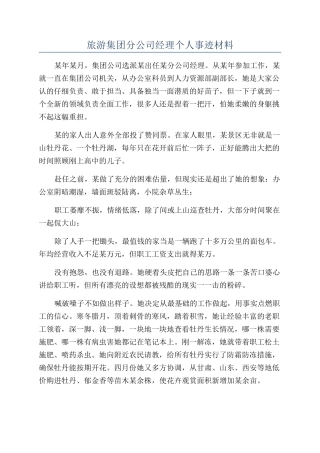 旅游集团分公司经理个人事迹材料