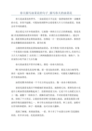 春天描写油菜花的句子-描写春天的油菜花