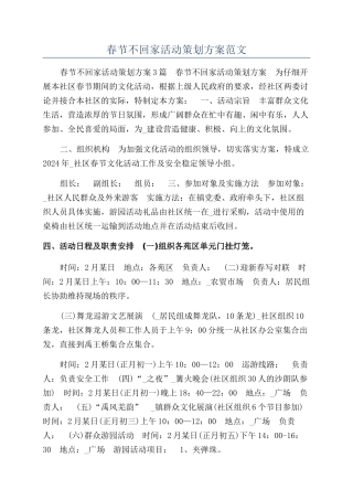 春节不回家活动策划方案范文