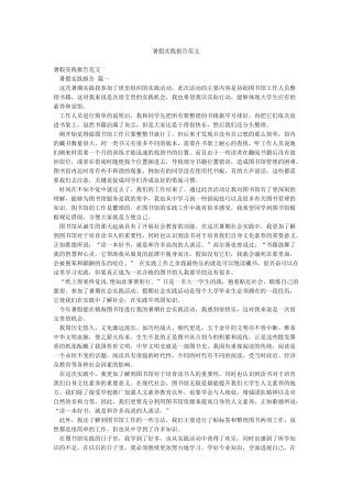 暑假实践报告范文