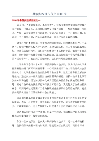 暑假实践报告范文3000字