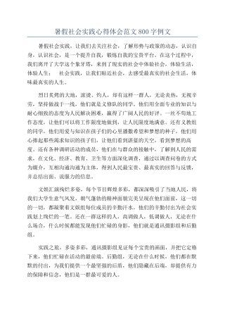 暑假社会实践心得体会范文800字例文