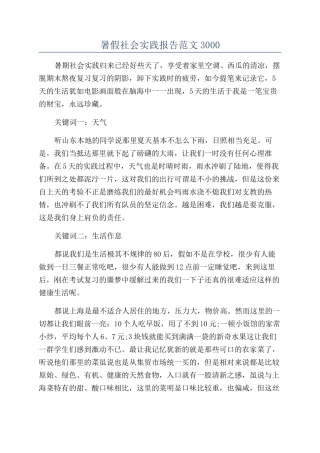 暑假社会实践报告范文3000