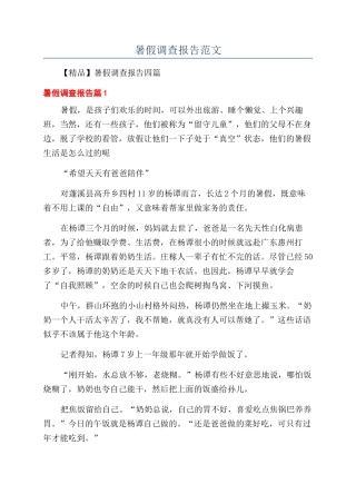 暑假调查报告范文