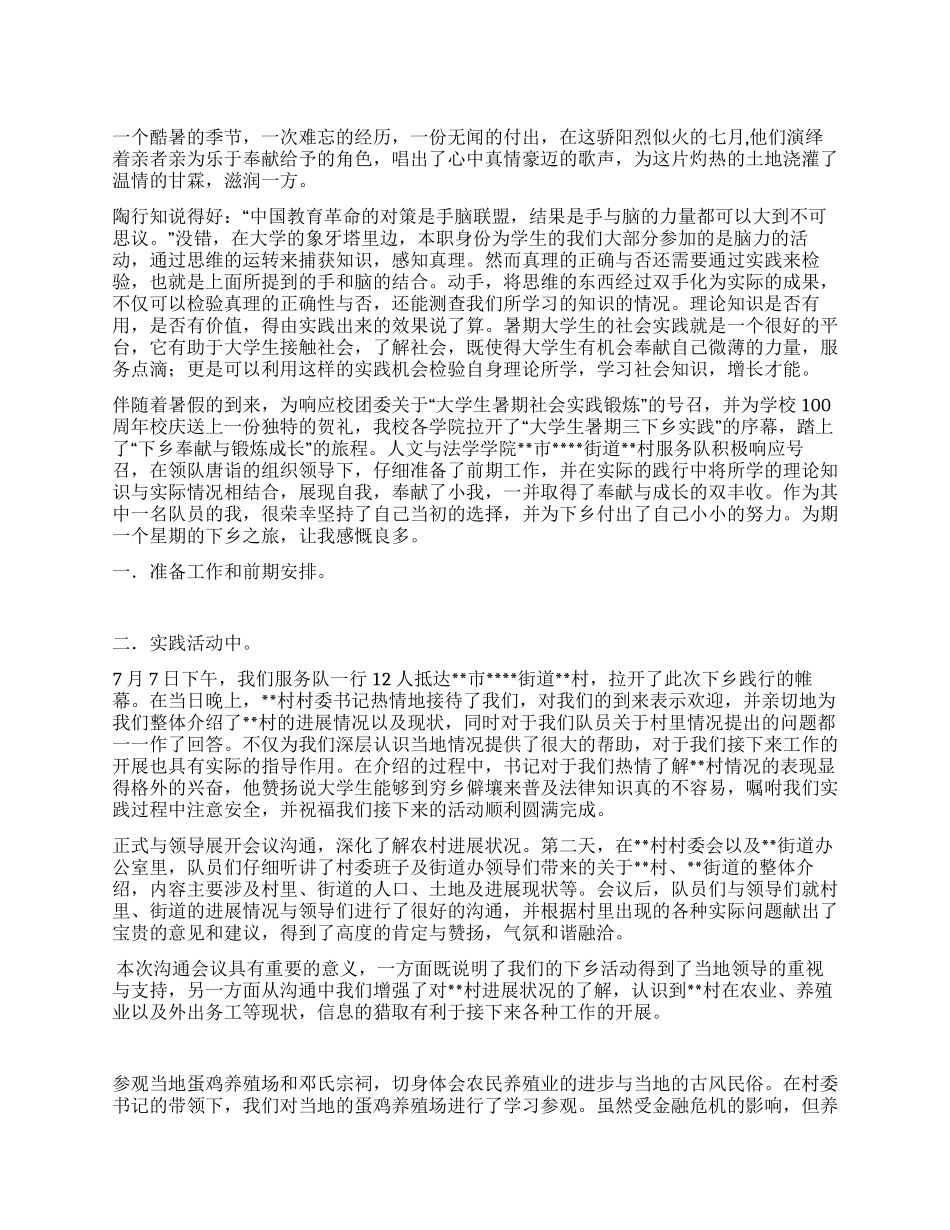 暑期三下乡实践个人总结_第1页