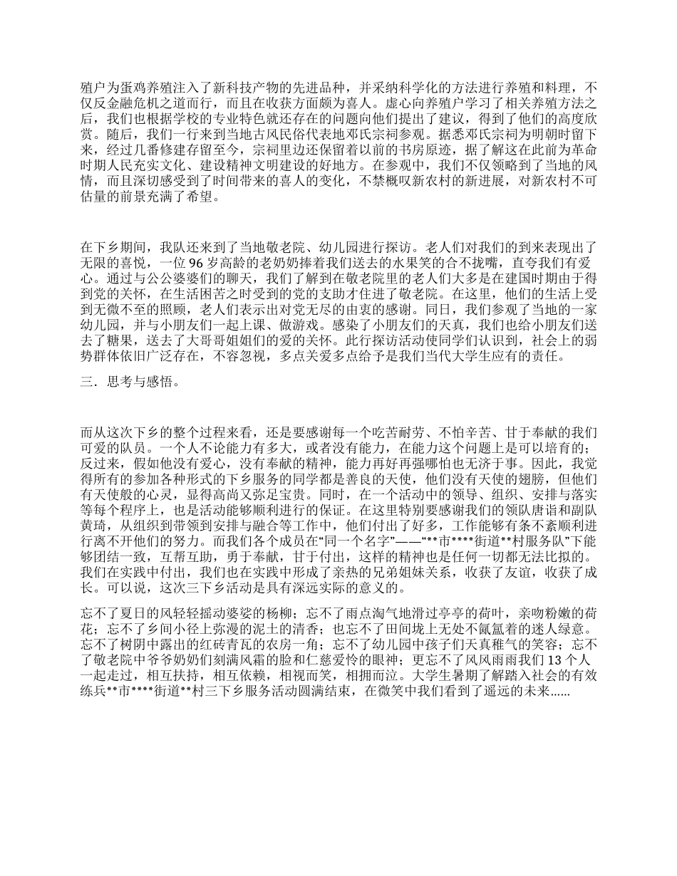 暑期三下乡实践个人总结_第2页