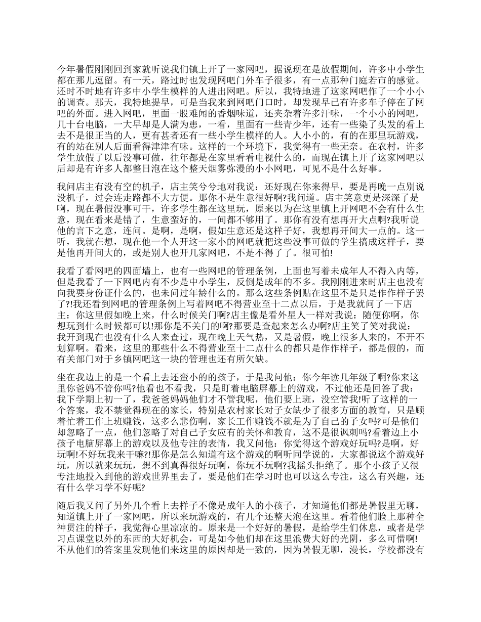 暑期乡镇网吧调查报告_第1页