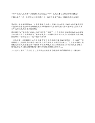 暑期实践活动队员总结