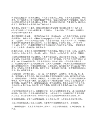 暑期桑蚕养殖实践报告