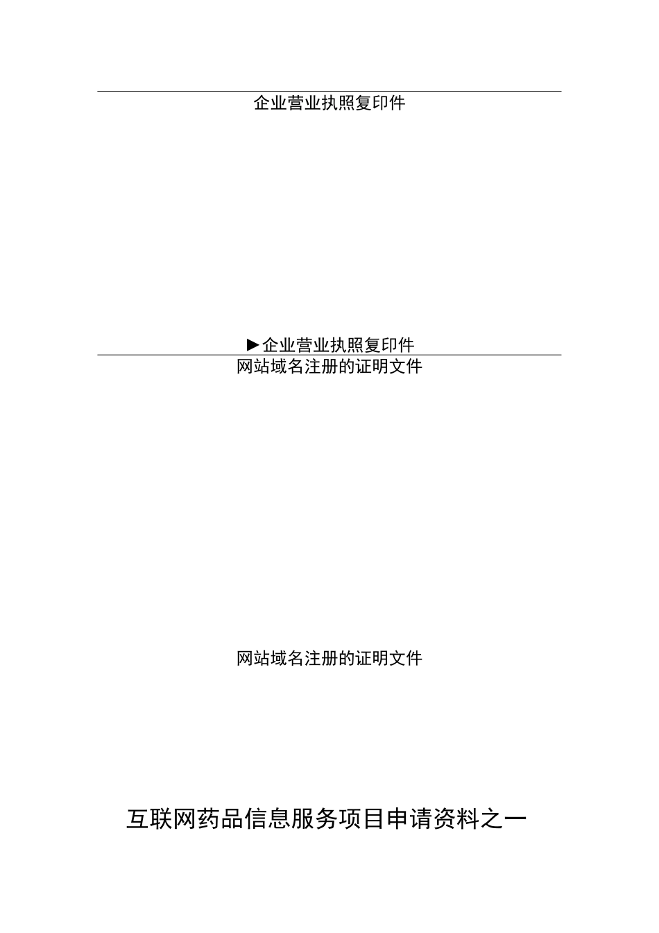 医疗器械类网站前置审批材料模板_第3页
